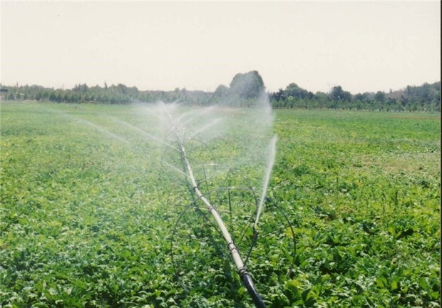 کشاورزان البرزی از روش های نوین آبیاری بهره گیرند