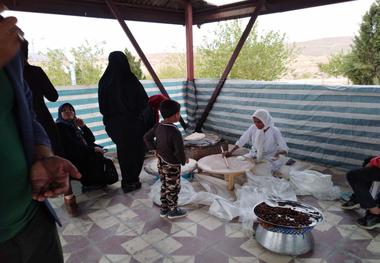 گردشگران از جشنواره انار و خرمای خاوران جهرم استقبال کردند