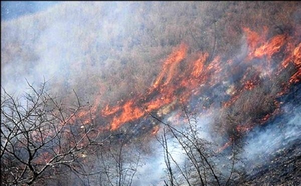 آتش‌سوزی 270 هکتار از مزارع کشاورزی سرپل ذهاب
