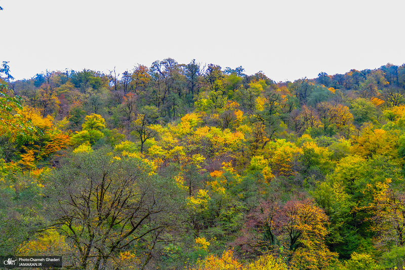 آبشار لونک دیلمان