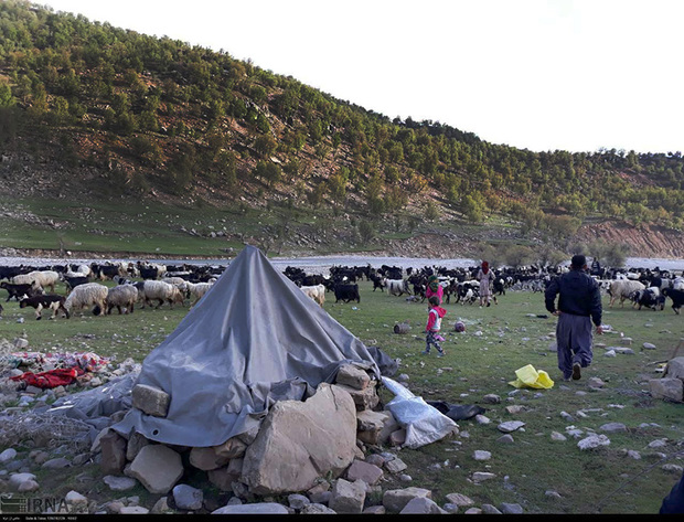 بخشی از سکنه روستاهای سیف آباد و خان کوهرنگ به مناطق امن هدایت شدند