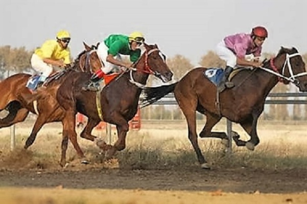 مسابقات سوارکاری استقامت &#39;جام مادر&#39; در کرمانشاه برگزار می شود