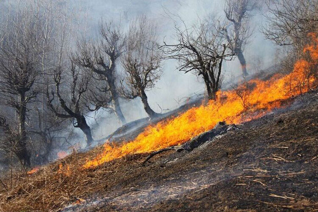 آتش سوزی در مراتع تنگستان