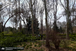 باغ گیاه شناسی ملی ایران