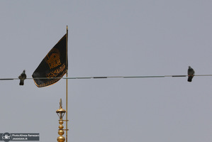 ظهر شهادت امام رضا (ع)