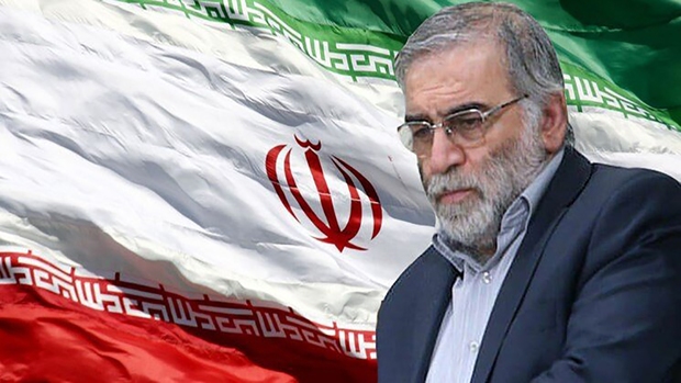 سوریه، بلژیک، قطر، کوبا و حماس ترور شهید فخری زاده را محکوم کردند