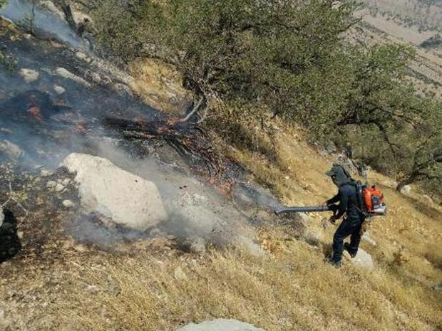 پنج هکتار از مراتع گچساران در آتش سوخت