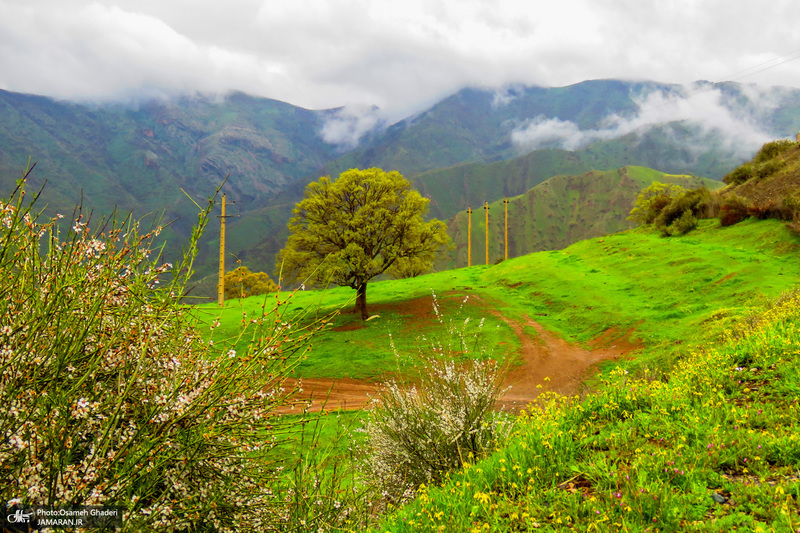 طبیعت زیبای نوسود