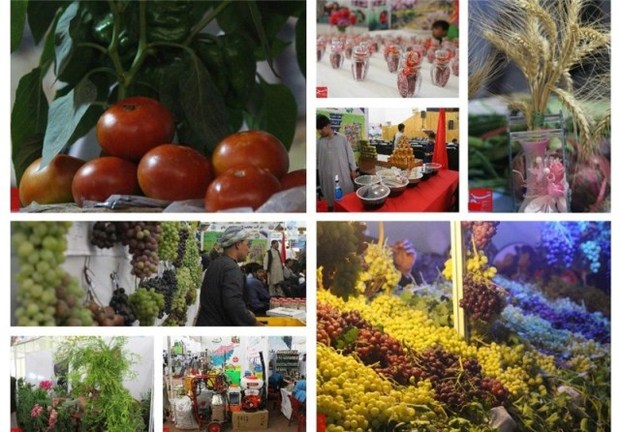 10 محصول کشاورزی استان اردبیل در نوبت برند سازی است