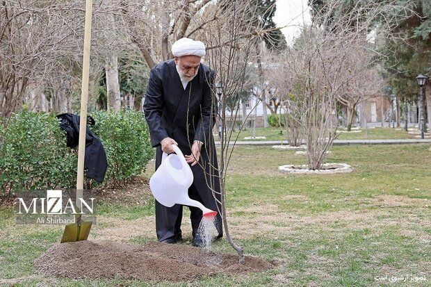 محسنی‌اژه‌ای، یک اصله نهال غرس کرد + عکس