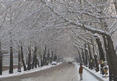 بارش ۵۳.۸ میلی‌متری در مراغه