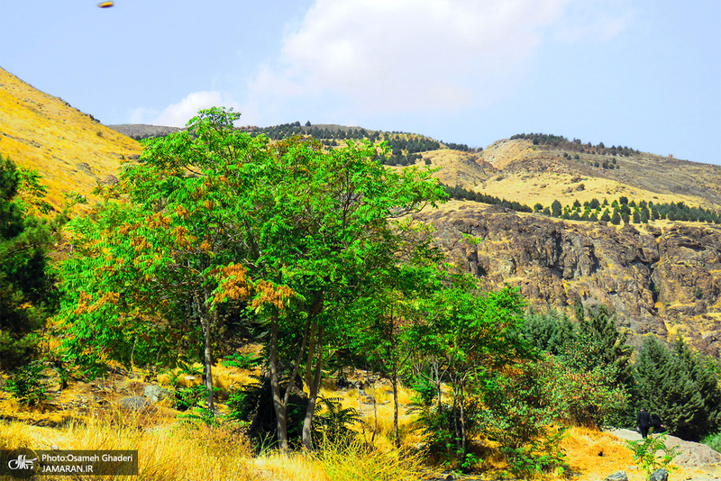 طبیعت پاییزی دارآباد تهران