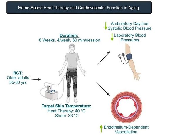 شلوار داغ فشار خون را کاهش می دهد!
