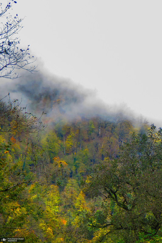 آبشار لونک دیلمان
