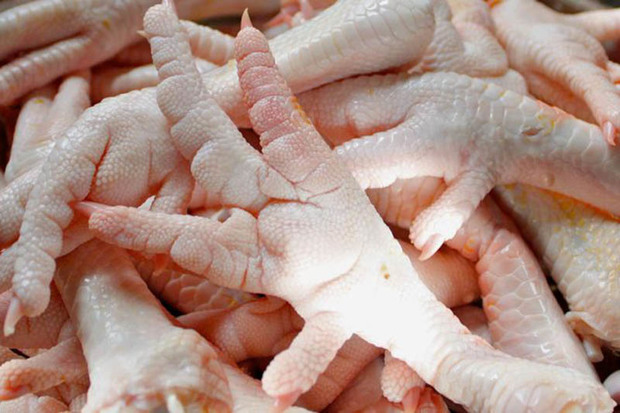 صادرات پنجه مرغ از استان مرکزی چهار برابر شد
