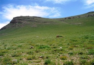 ممیزی مراتع 350 خانوار عشایری شیروان در مراوه تپه انجام شد