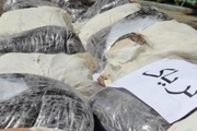 1.2تن تریاک در دیلم بوشهر کشف شد