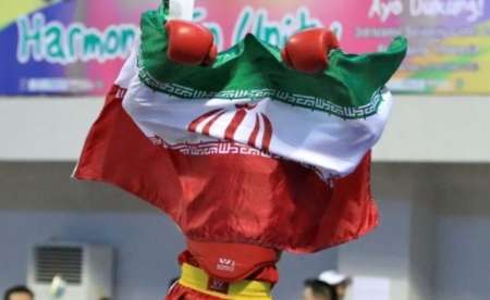 شرکت چهار ووشوکار زنجانی در مسابقات بین المللی جام پارس