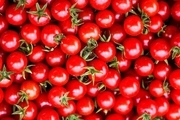 قیمت گوجه فرنگی به سقف تاریخی رسید!