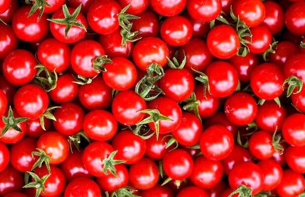 گوجه فرنگی پخته خطر سرطان پروستات را کاهش می دهد؟
