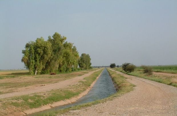 ۵۲ هزار هکتار از اراضی دشت سیستان آبیاری شد