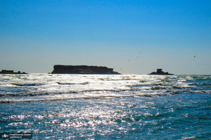 جزایر ناز یکی از عجایب هفتگانه قشم