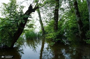 منتخب تصاویر امروز جهان- 19 اردیبهشت 1400