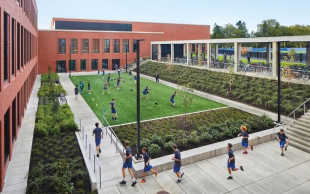 ایده‌های اقتصادی برای ایجاد حیاط سبز در مدارس