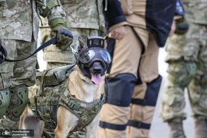 منتخب تصاویر امروز جهان - 15 آذر 1401