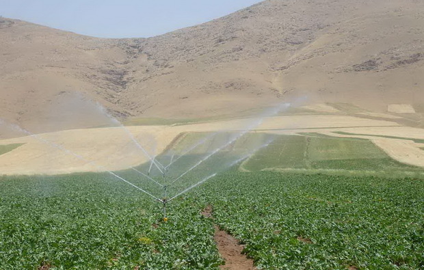 کشت پاییزه محصولات کشاورزی در کرمانشاه آغاز شد