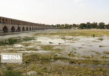 طنین دلنواز زاینده‌رود در نصف‌جهان