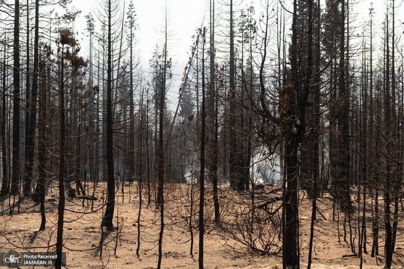 منتخب تصاویر امروز جهان- 1 مرداد 1400