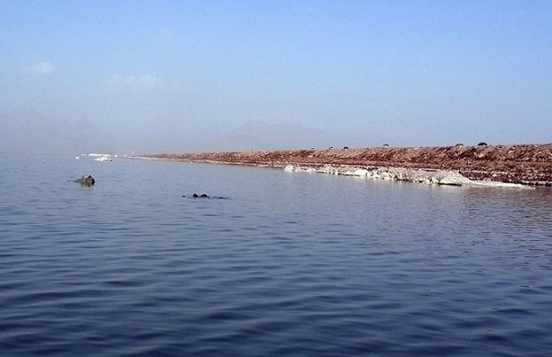 ۱۰میلیون متر مکعب آب سدها به سمت دریاچه ارومیه رهاسازی می شود