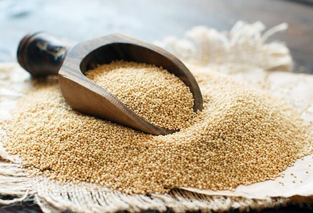 این گیاه 3 برابر شیر کلسیم دارد
