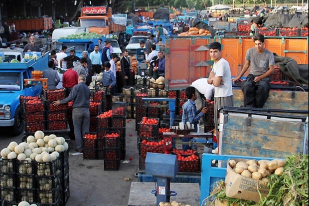 گوجه فرنگی گران نشده است