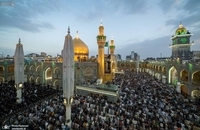 نماز عید سعید فطر در حرم امام علی (ع) در نجف اشرف (4)