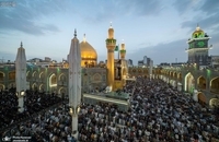 نماز عید سعید فطر در حرم امام علی (ع) در نجف اشرف (4)