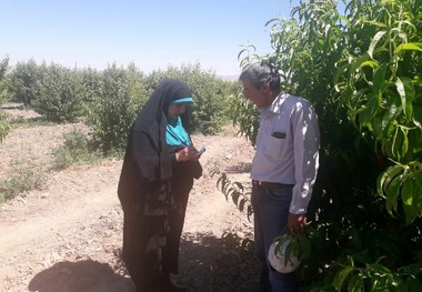 باغداران مانه وسملقانی تسلیم دلالان شدند