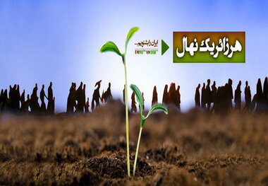 اجرای طرح هر زائر یک نهال همزمان با اربعین حسینی در مهران