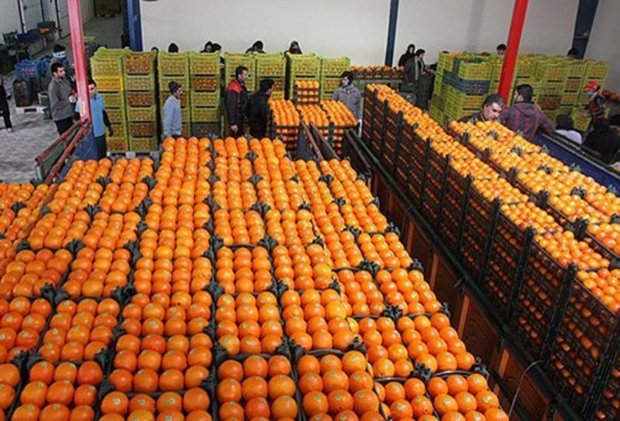 توزیع میوه شب عید در استان بوشهر آغاز شد