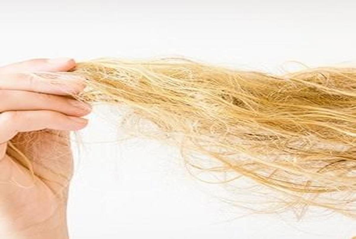  ۶ روش خانگی برای مراقبت از مو‌های آسیب دیده
