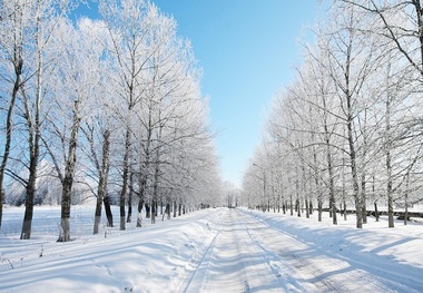 در زمستان به کجای ایران سفر کنیم؟