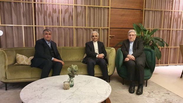 رئیس سازمان انرژی اتمی ایران به وین رفت