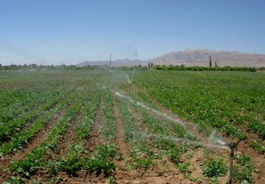 470 هکتار سامانه نوین آبیاری در نهبندان در دست اجرا است