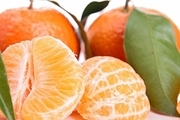 نرخ هر کیلو نارنگی بندری ۱۶ هزار تومان!