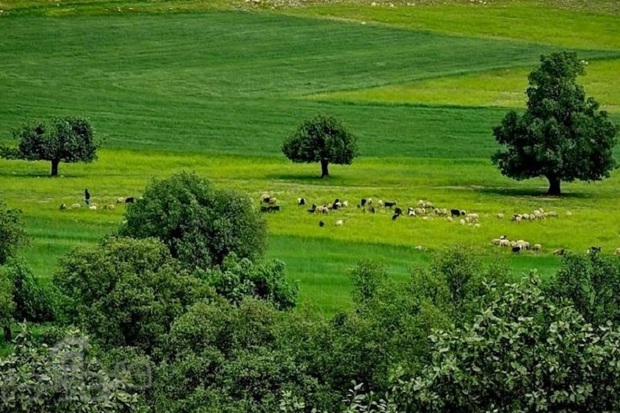 خسارتهای بلایای طبیعی بر پایه دوستی با طبیعت کاهش می یابد