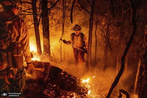 منتخب تصاویر امروز جهان - 24 شهریور 1401