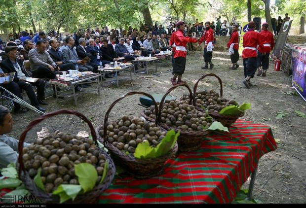 فرماندار بجنورد:افزایش ماندگاری مسافران مستلزم وجود زیرساخت های گردشگری است