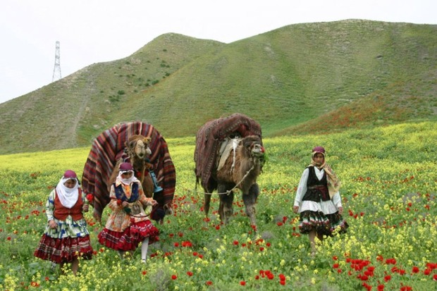 950 خانوار عشایری شیروان کوچ بهاره خود را آغاز کردند