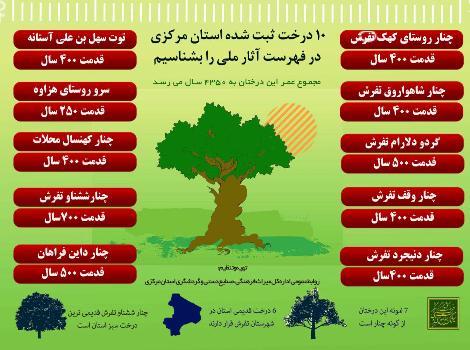10 درخت کهنسال استان مرکزی در فهرست آثار ملی ثبت شد
